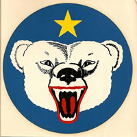 Polar bear with yellow star